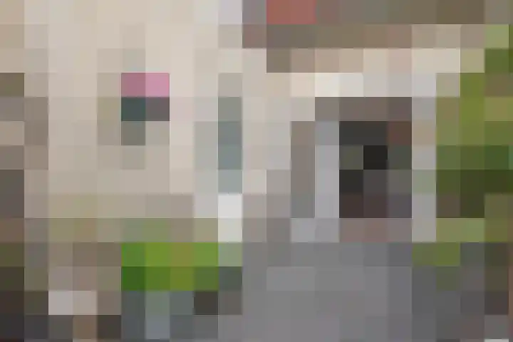 Scheermolen 67 Wierden thumbnail 42
