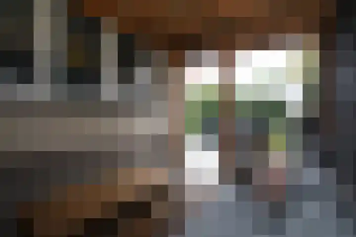 Scheermolen 67 Wierden thumbnail 47