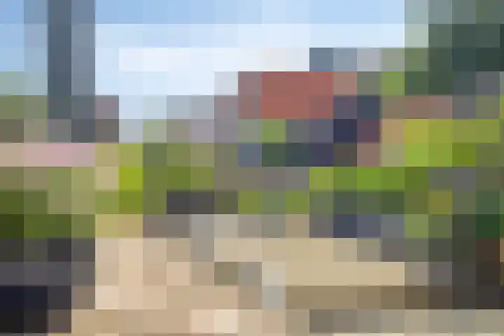 Scheermolen 67 Wierden thumbnail 53