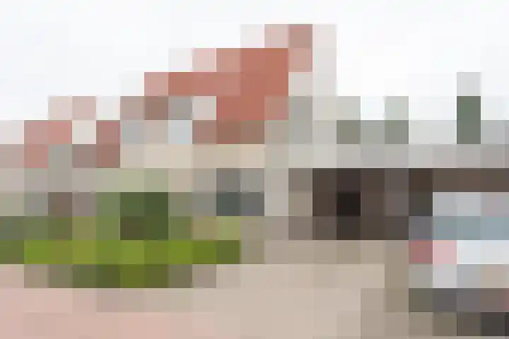 Scheermolen 67 Wierden thumbnail 57