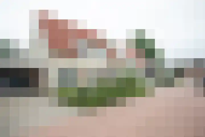 Scheermolen 67 Wierden thumbnail 59