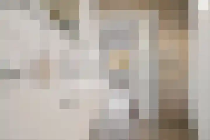 Scheermolen 67 Wierden thumbnail 9
