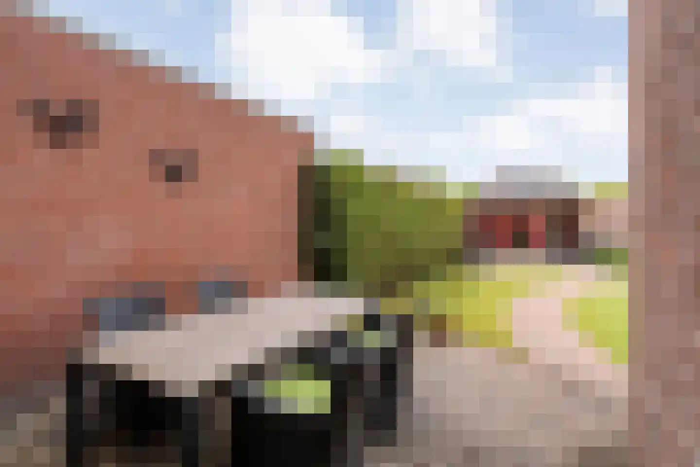 Scheermolen 70 Wierden thumbnail 28
