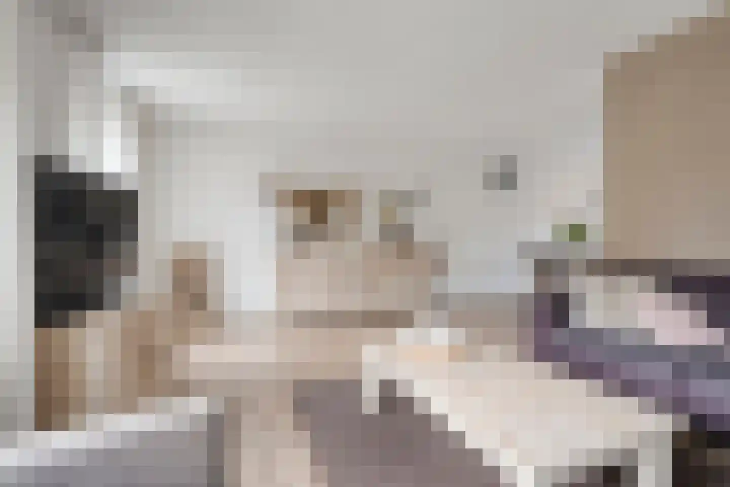 Scheermolen 70 Wierden thumbnail 7