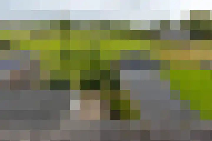 Scheerturfstraat 18 Schoonoord thumbnail 29