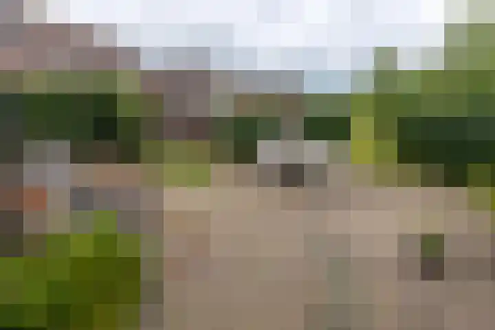 Scheerturfstraat 18 Schoonoord thumbnail 31