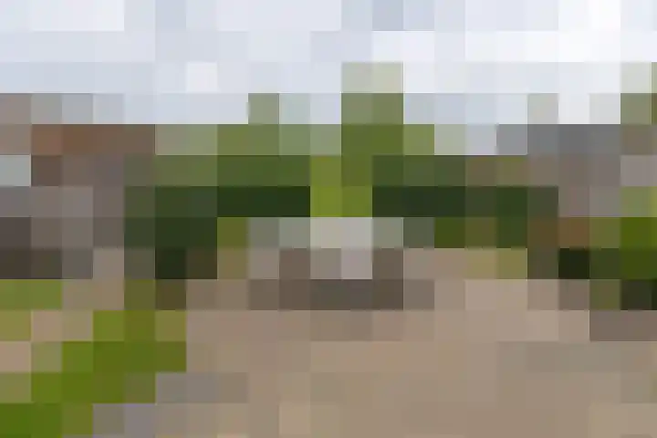 Scheerturfstraat 18 Schoonoord thumbnail 32