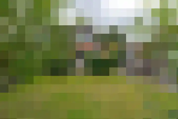 Scheerturfstraat 18 Schoonoord thumbnail 33