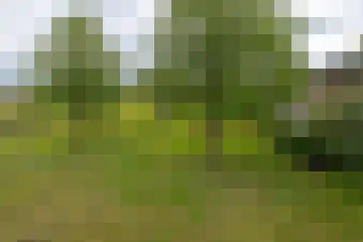 Scheerturfstraat 18 Schoonoord thumbnail 34