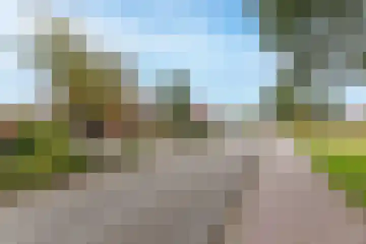 Scheerturfstraat 18 Schoonoord thumbnail 5