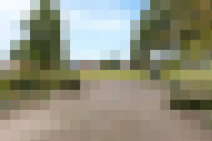Scheerturfstraat 18 Schoonoord thumbnail 6