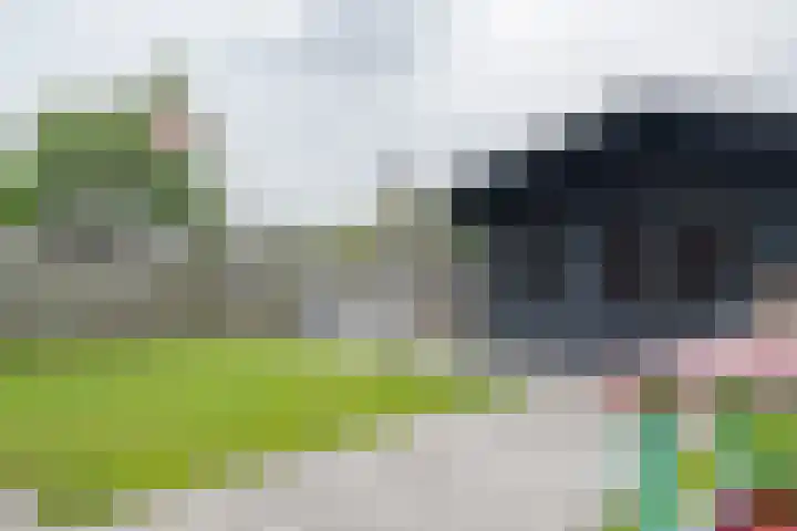 Scheerturfstraat 36 Schoonoord thumbnail 51