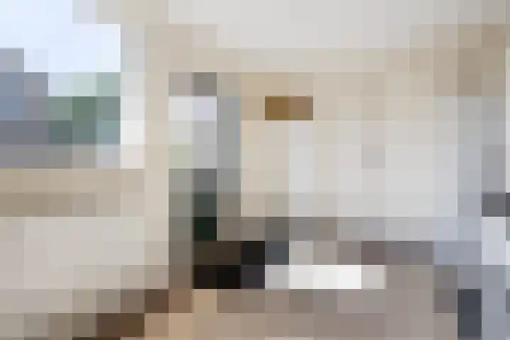 Scheerwolderweg 24 Scheerwolde thumbnail 19
