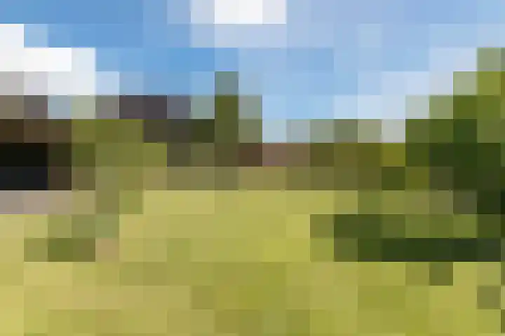 Scheerwolderweg 24 Scheerwolde thumbnail 46