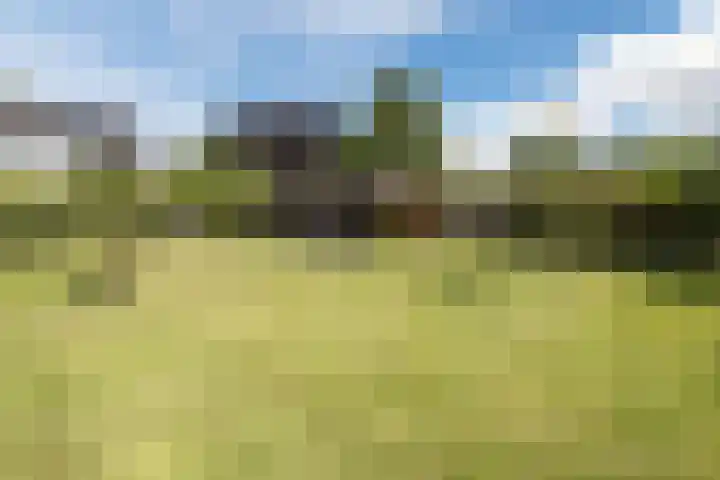 Scheerwolderweg 24 Scheerwolde thumbnail 47