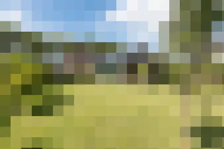 Scheerwolderweg 24 Scheerwolde thumbnail 48