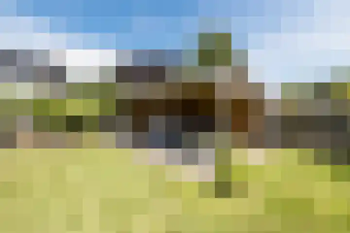 Scheerwolderweg 24 Scheerwolde thumbnail 49