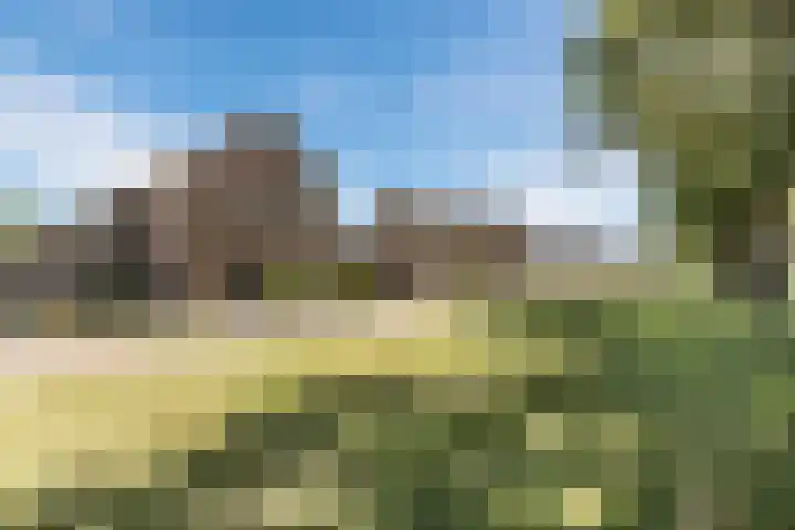 Scheerwolderweg 24 Scheerwolde thumbnail 5