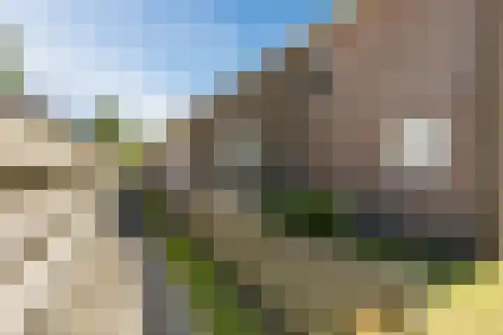 Scheerwolderweg 24 Scheerwolde thumbnail 51
