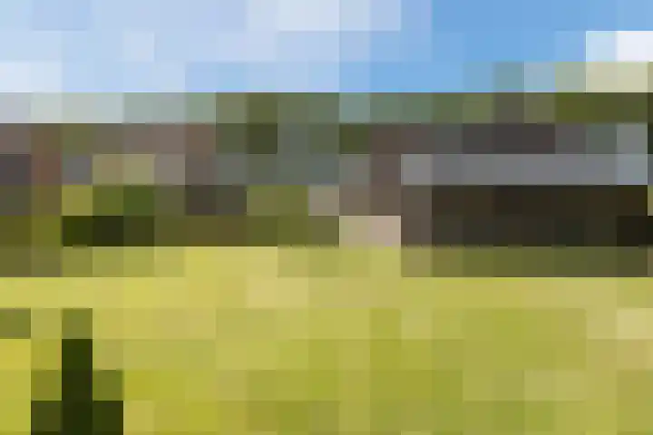 Scheerwolderweg 24 Scheerwolde thumbnail 52