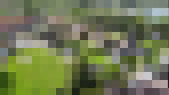 Scheerwolderweg 24 Scheerwolde thumbnail 67
