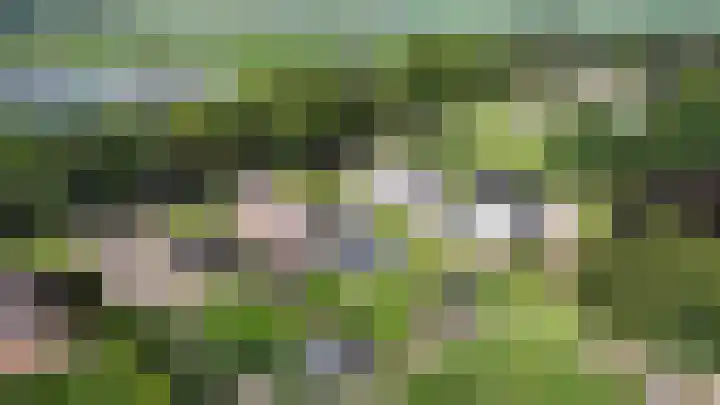 Scheerwolderweg 24 Scheerwolde thumbnail 69