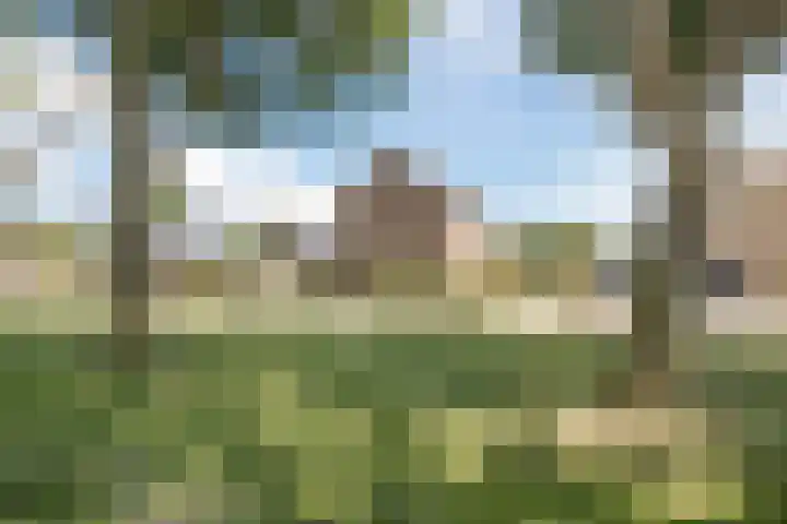 Scheerwolderweg 24 Scheerwolde thumbnail 84