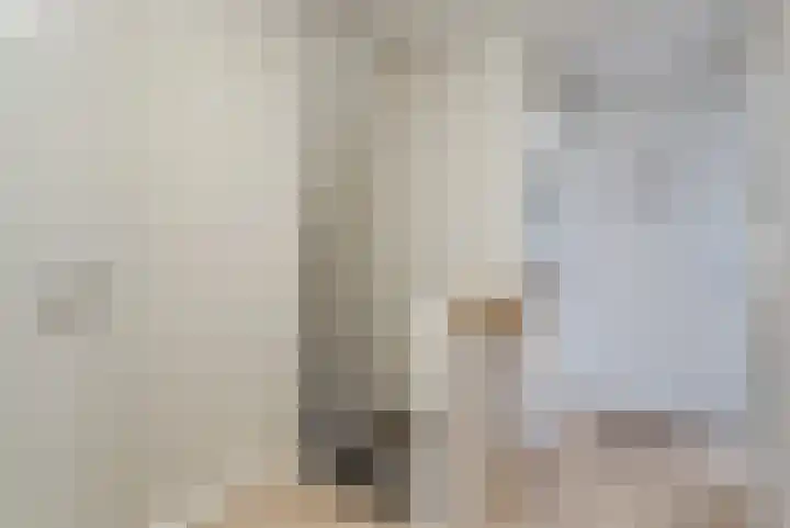 Scheerwolderweg 3 c Scheerwolde thumbnail 32