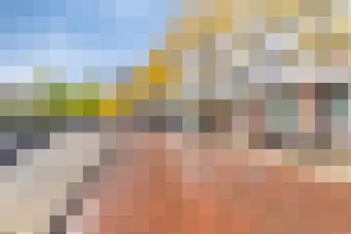 Scheerwolderweg 3 c Scheerwolde thumbnail 42