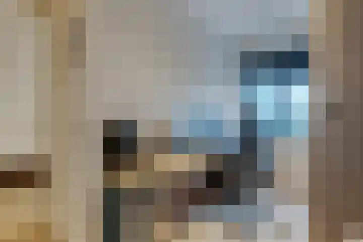 Scheerwolderweg 3 c Scheerwolde thumbnail 43