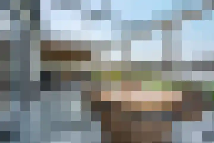 Scheerwolderweg 3 c Scheerwolde thumbnail 47