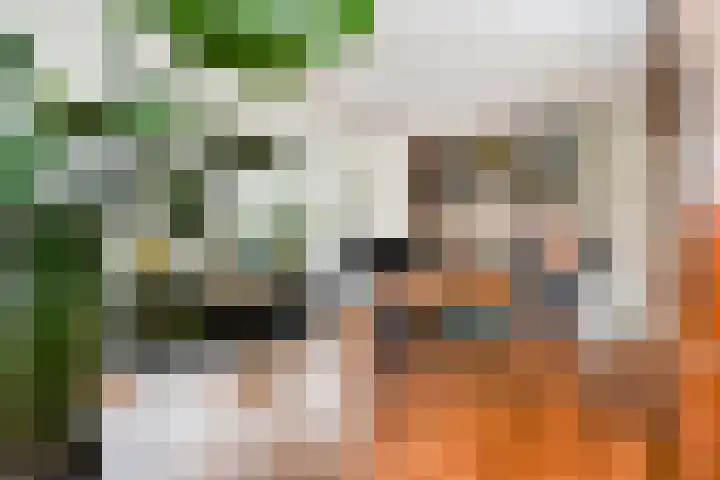 Scheerwolderweg 3 c Scheerwolde thumbnail 52