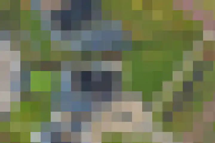 Scheerwolderweg 3 c Scheerwolde thumbnail 68