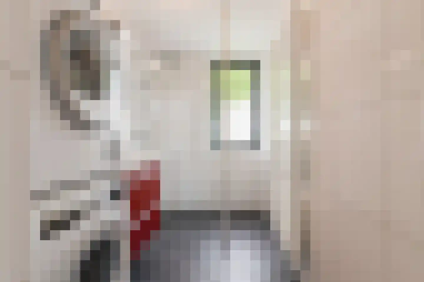Scheffelstraat 1 Culemborg thumbnail 54