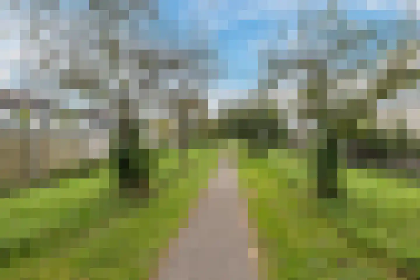 Scheffelstraat 1 Culemborg thumbnail 81