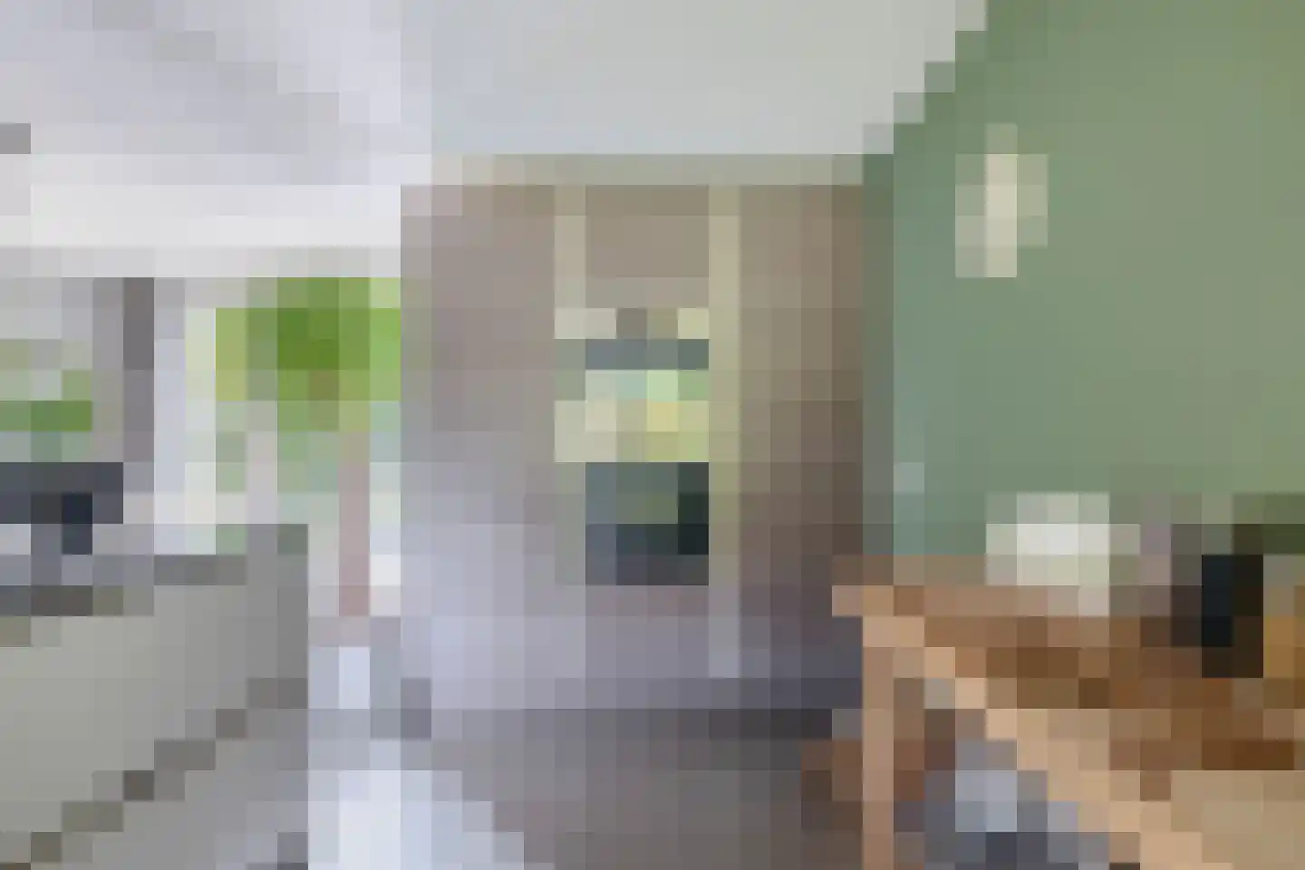 Schefferlaan 20 Heveadorp thumbnail 13