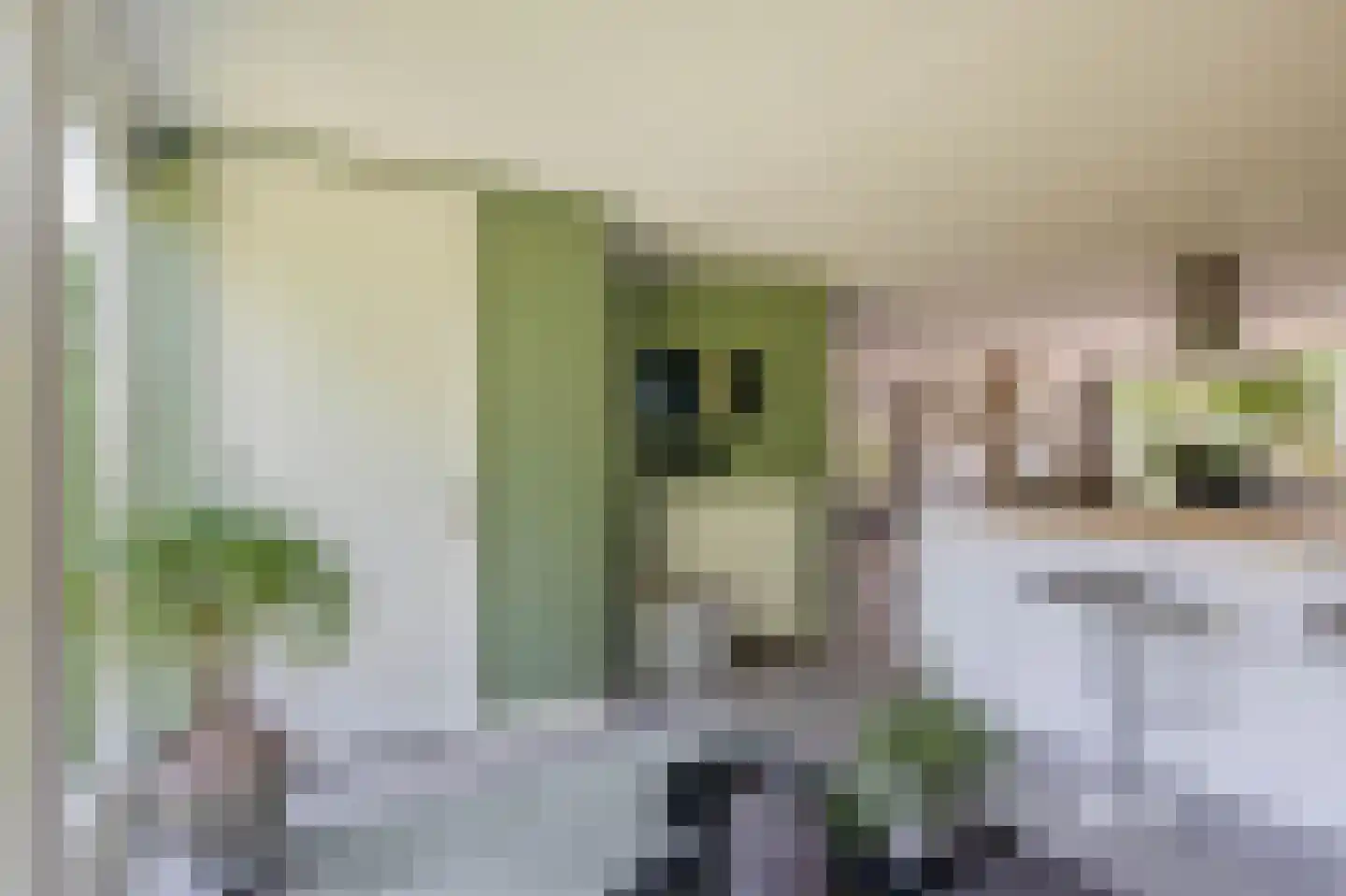 Schefferlaan 20 Heveadorp thumbnail 15