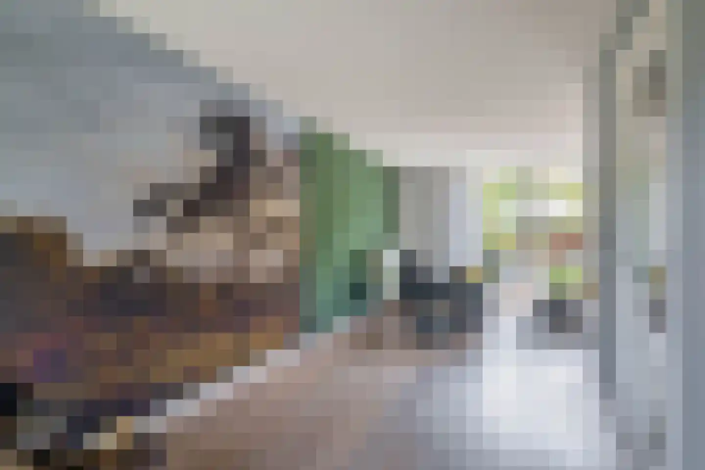 Schefferlaan 20 Heveadorp thumbnail 21