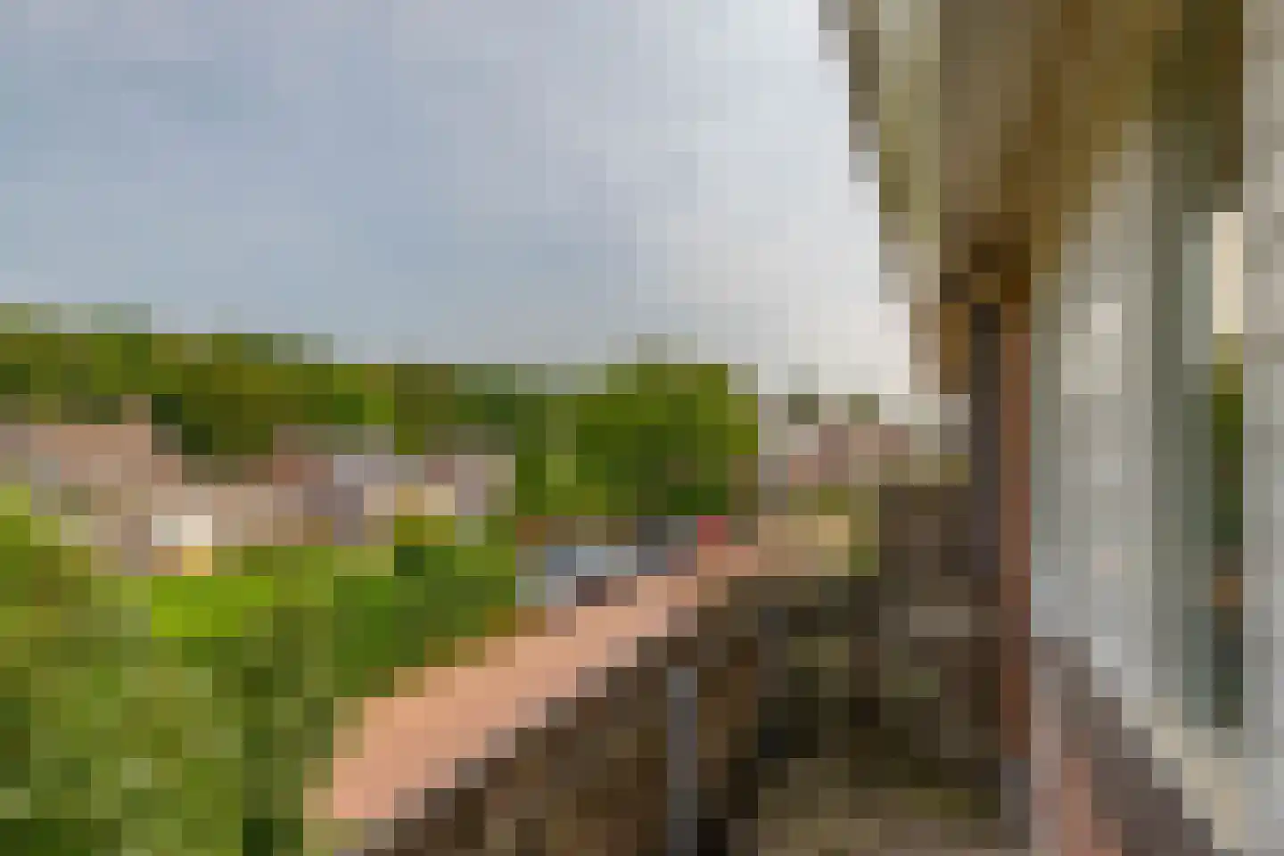 Schefferlaan 20 Heveadorp thumbnail 29