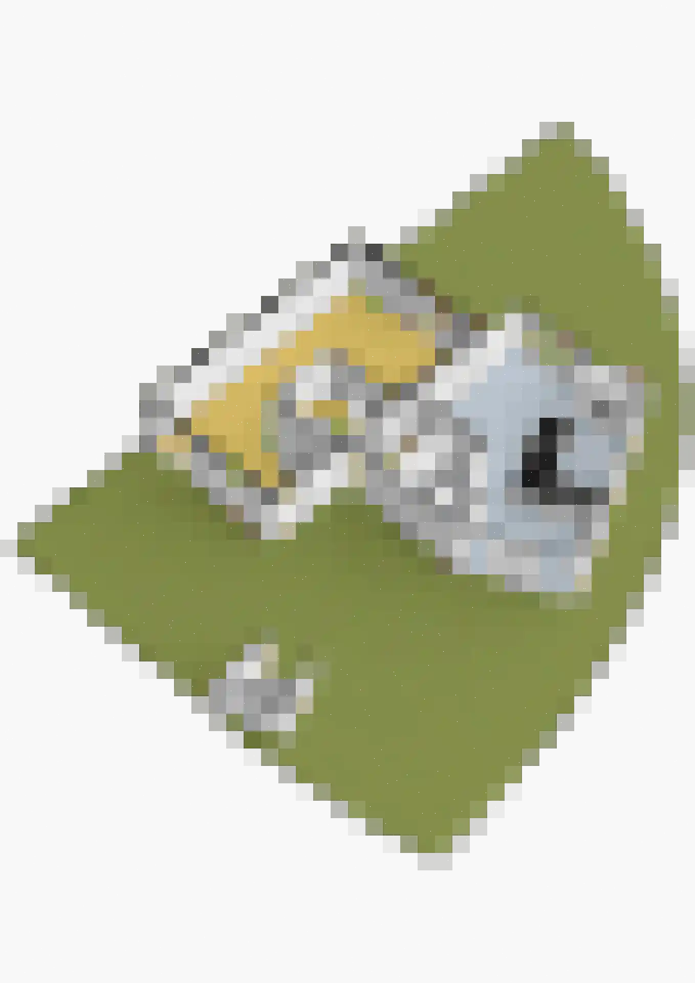 Schefferlaan 20 Heveadorp thumbnail 59