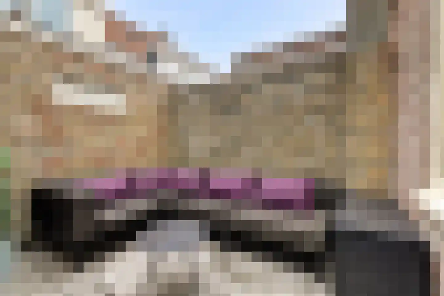 Scheffersplein 22 Harlingen thumbnail 24