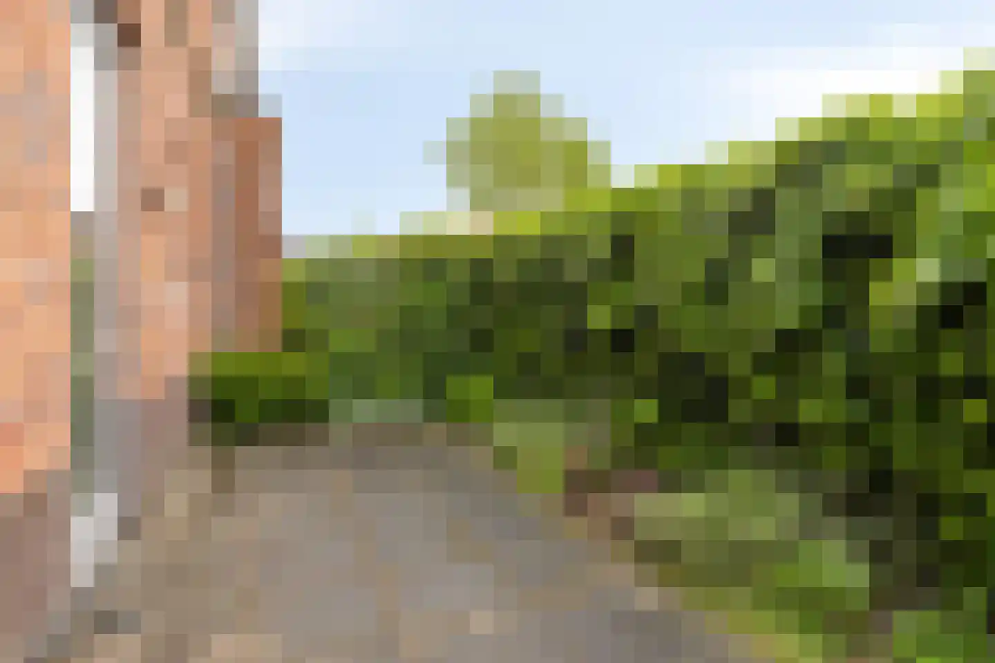 Schefferstraat 25 Rhoon thumbnail 24