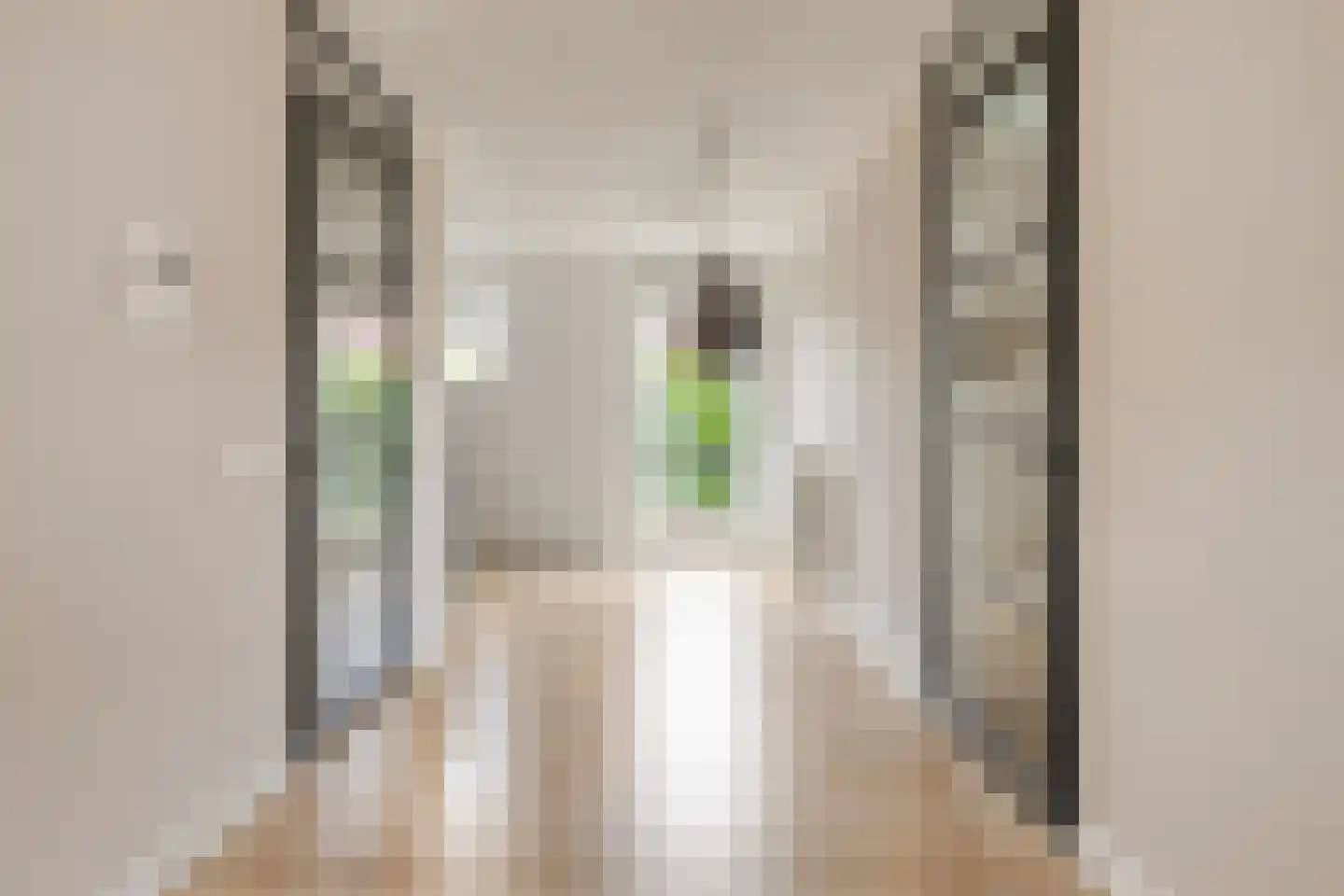 Schefferstraat 25 Rhoon thumbnail 8