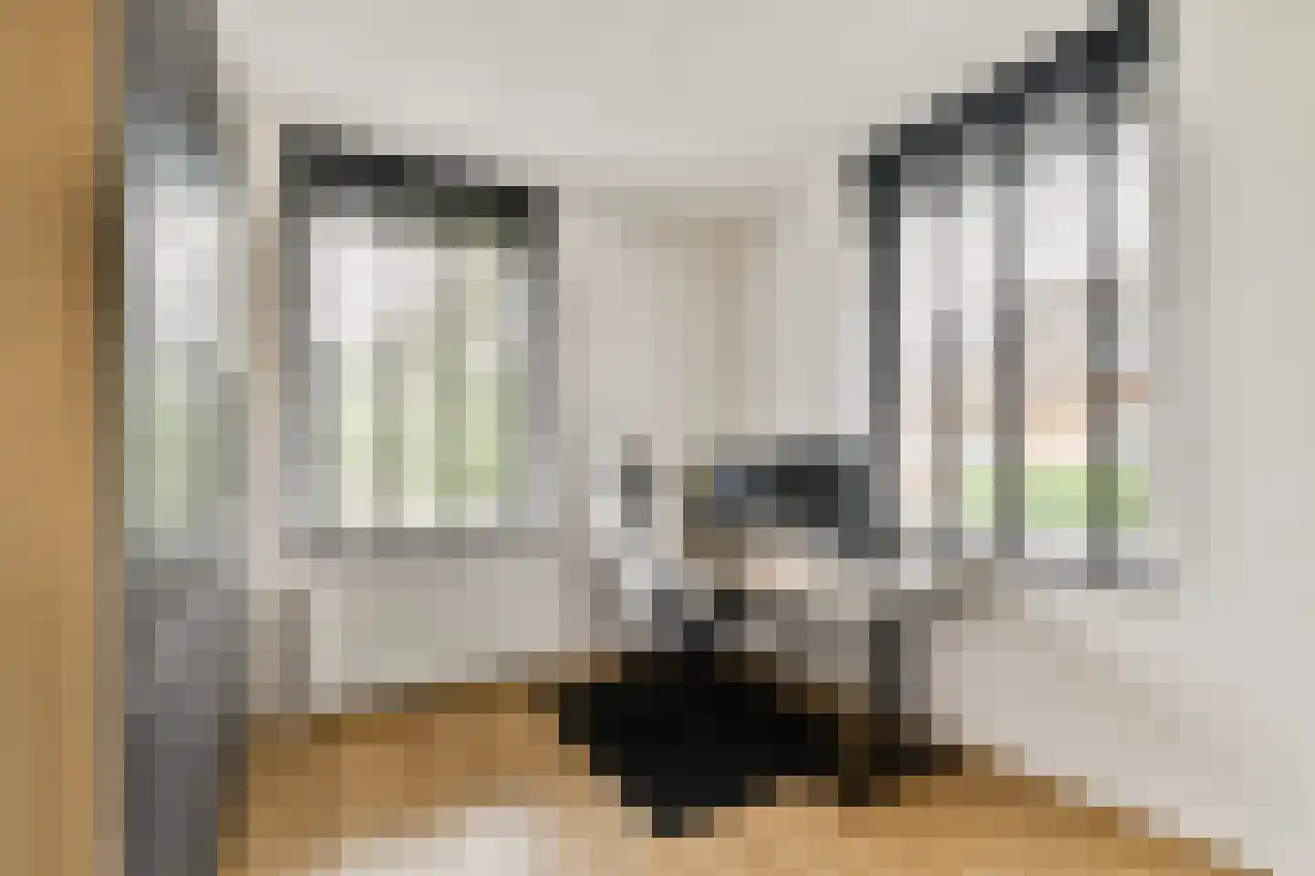 Schefferstraat 5 Rhoon thumbnail 13