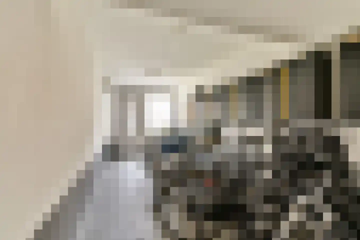 Schefferstraat 5 Rhoon thumbnail 21
