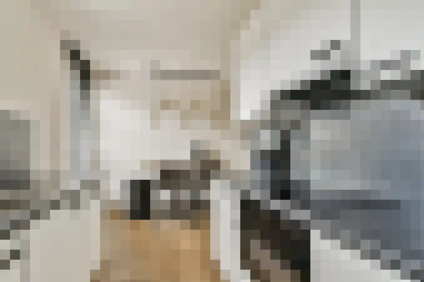 Schefferstraat 5 Rhoon thumbnail 4