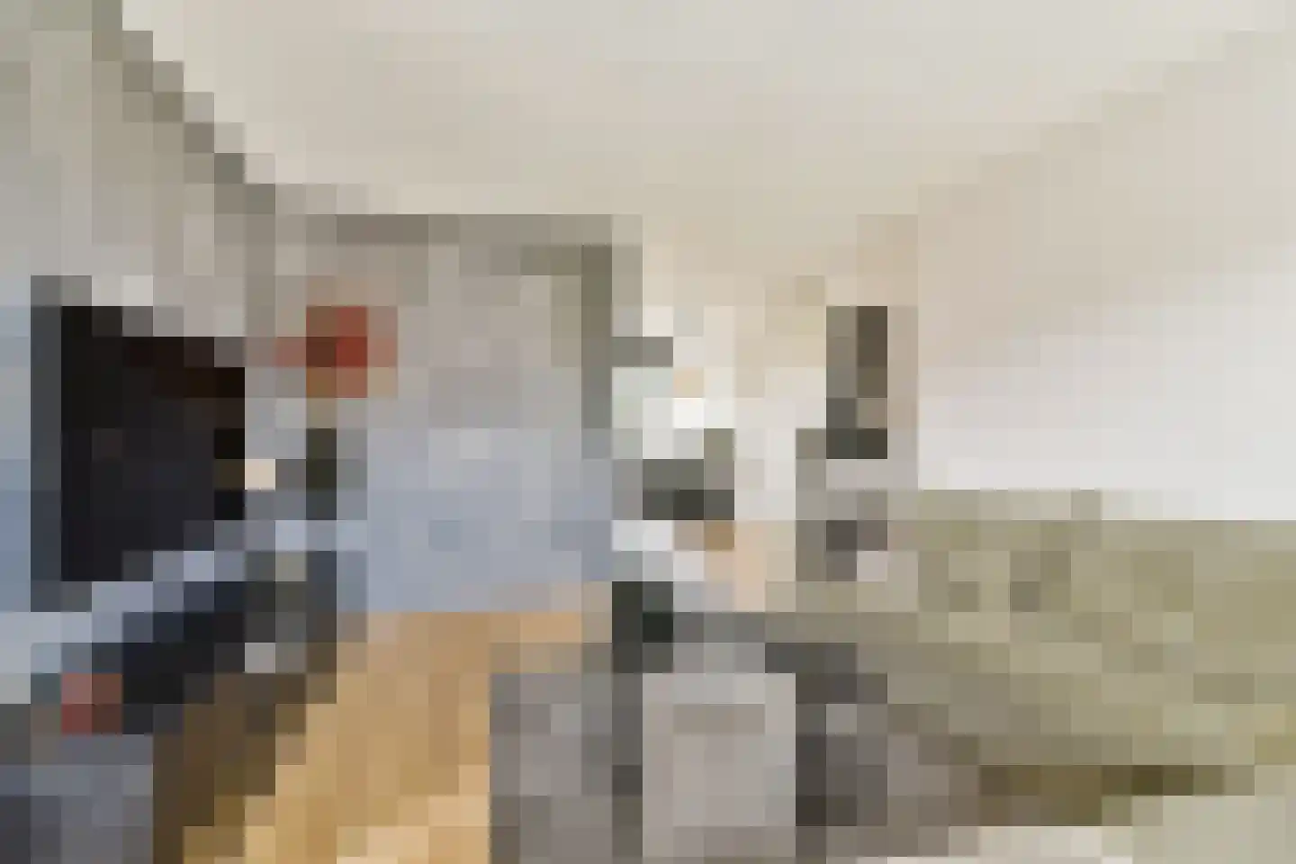 Schefferstraat 5 Rhoon thumbnail 7
