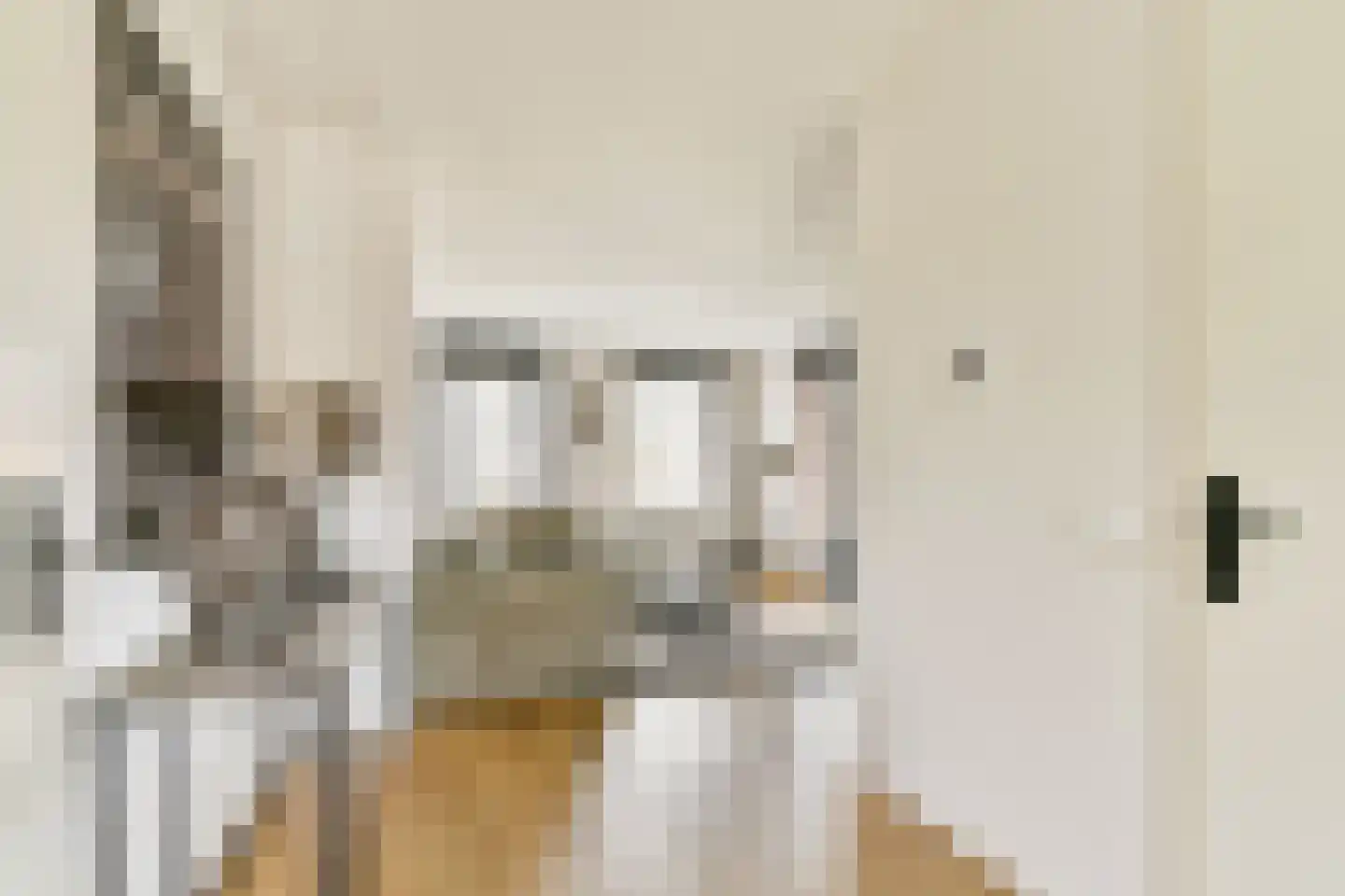 Schefferstraat 5 Rhoon thumbnail 8