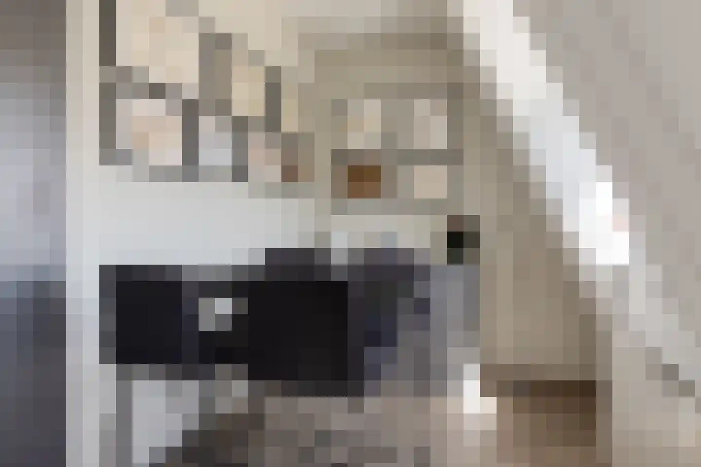 Schefferstraat 9 Rhoon thumbnail 12