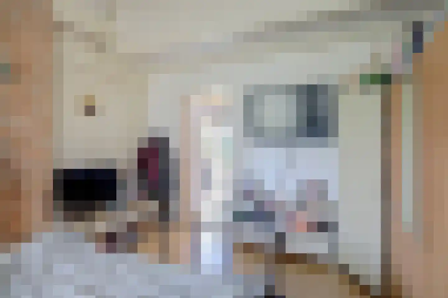Schefferweg 5 De Lier thumbnail 21